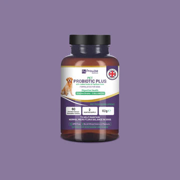 Pet Probiotic Plus with Added Inulin & Psyllium Husk 2 Billion CFU with 5 Active Strains I 60 Chicken Flavour Chewable Tablets 2 Months Supply